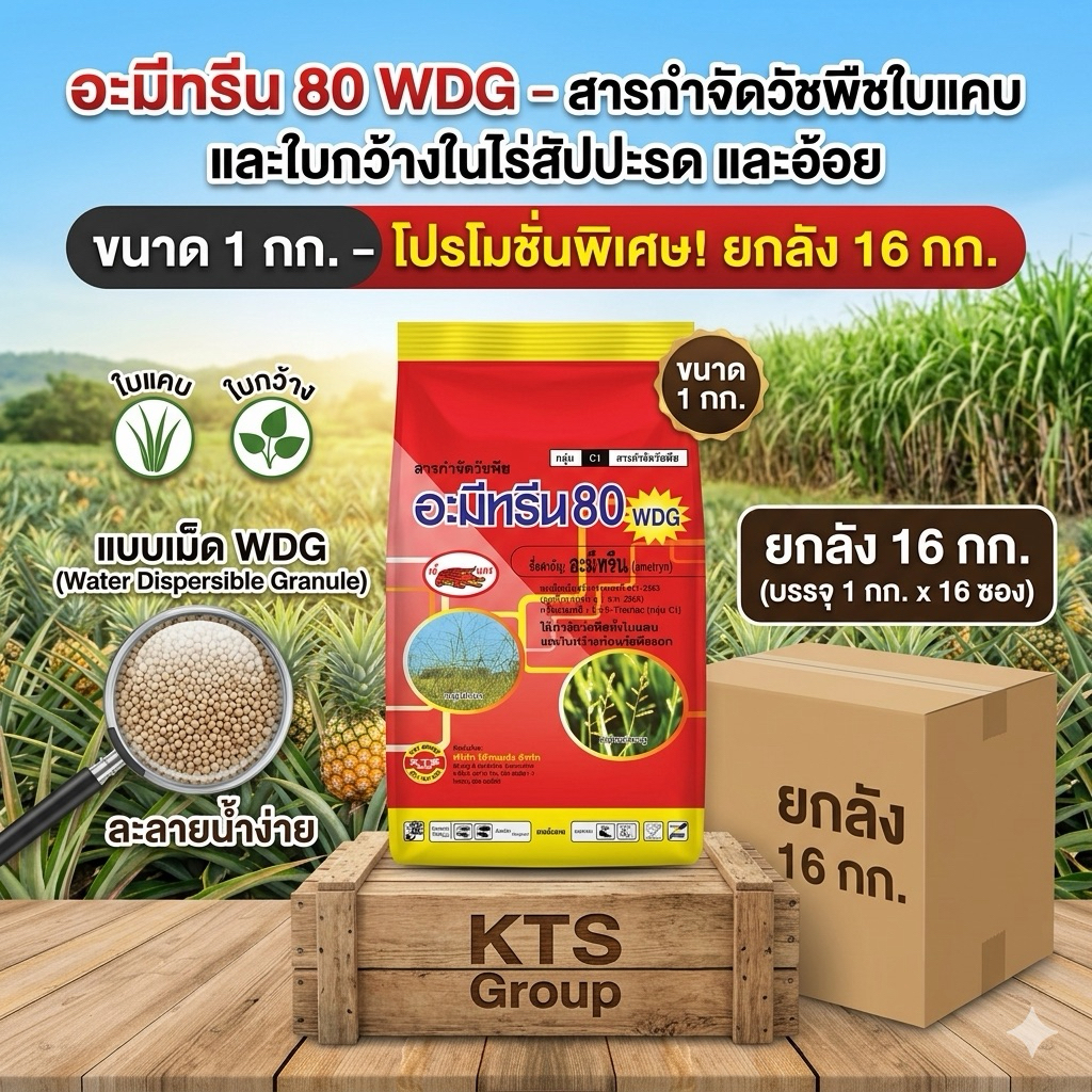 ยกลัง 16 กก. อะมีทรีน 80 WDG (1กก.x16ถุง) ตราเข้แดง สารกำจัดวัชพืชใบแคบ ใบกว้าง ยาฆ่าหญ้าในไร่อ้อย ไร่สับปะรด แบบเม็ด