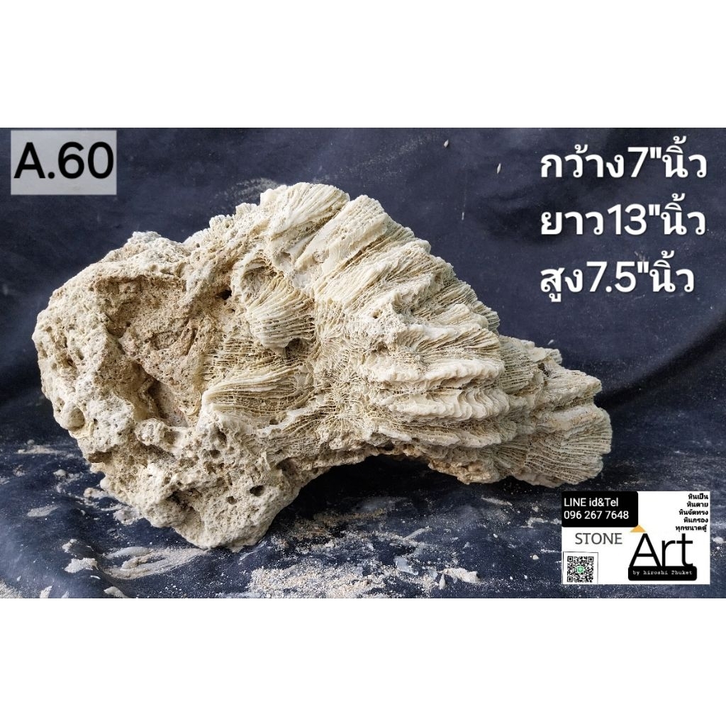 หินตายหินทะเลหินธรรมชาติ เลือกสินค้าได้ตามภาพ เลือกแล้วทัก Ib มาเลยครับ บำบัดสะอาดพร้อมลงตู้
