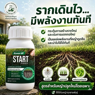 Green UP START สำหรับหญ้าปลูกใหม่ หลังตัดหญ้า เร่งรากหญ้า หญ้าติดดี ฟื้นตัวไว แก้หญ้าโทรมหน้าร้อน