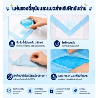 [แบ่งขาย] แผ่นซับฉี่ แผ่นรองถาด แผ่นรองสัตว์เลี้ยง แผ่นรองฉี่ แผ่นรองกรง สุนัข แมว กระต่าย ชูการ์ไกรเดอร์