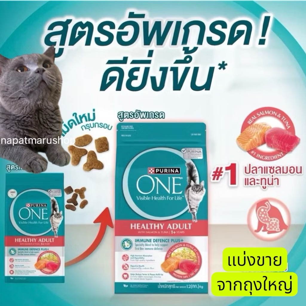 เพียวริน่า วัน แซลมอนทูน่า สูตรอัพเกรด แบ่งขาย 200-500 กรัม บรรจุถุงซิปล็อค