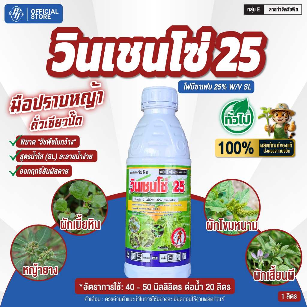 โฟมีซาเฟน วินเซนโซ่ 500 ซีซี ยาลุยกำจัดหญ้าใบกว้างในไร่ถั่ว–เผือก ฉีดลุย พ่นทับถั่ว-เผือก ปลอดภัย