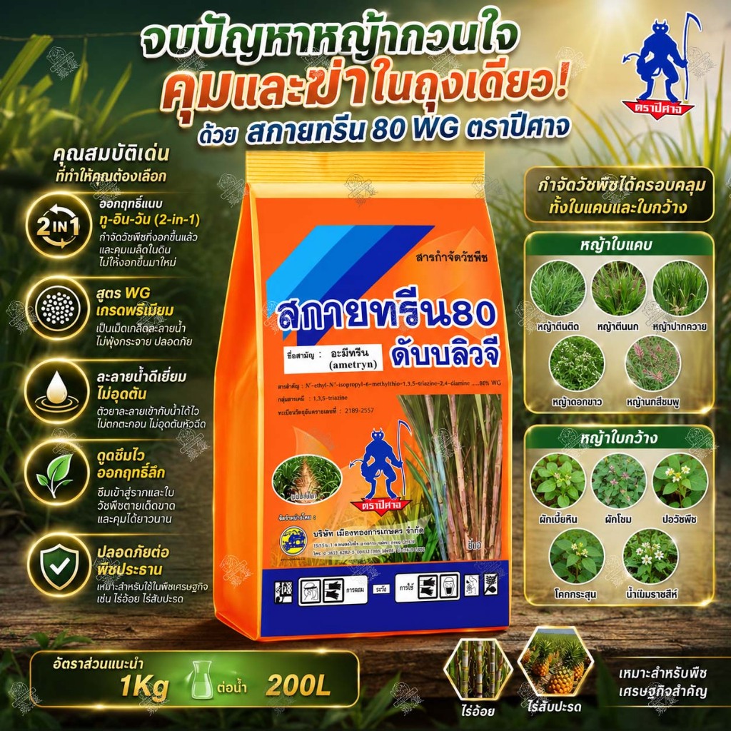 สกายทรีน 80 WG (1 กิโลกรัม) อะมีทรีน ชนิดเม็ด กำจัดและคุมหญ้าวัชพืชใบกว้าง ใบแคบ ในไร่อ้อย สับปะรด