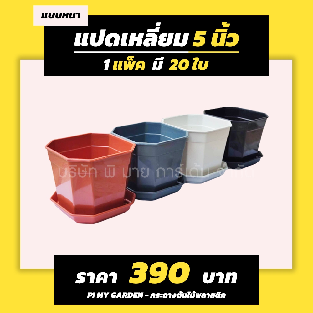 กระถางแคคตัส ทรงแปดเหลี่ยม 5 นิ้ว สีขาว สีดำ สีเทา สีอิฐ พร้อมจาน แพ็ค 20 ชุด