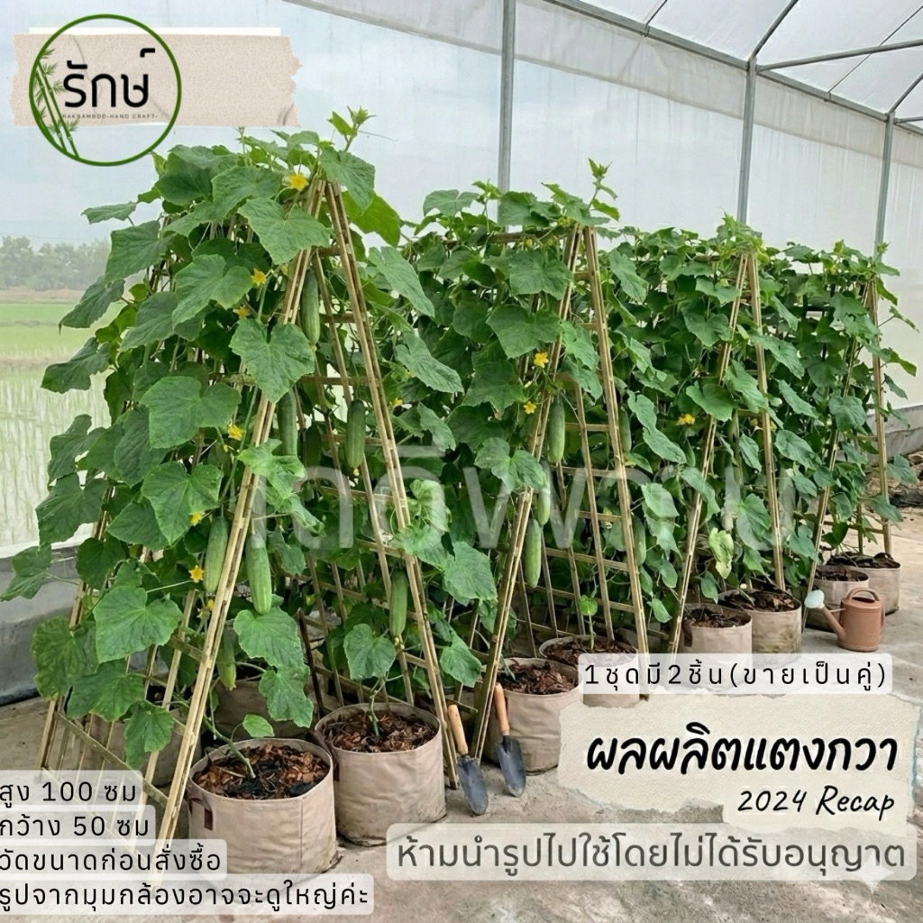 ค้างไม้ไผ่แบบตารางสี่เหลี่ยม,ค้างไม้เลื้อย,ค้างปลูกผัก ขนาด 100x50ซม.✅ไม้หนาแข็งแรง1ชุดมี2แผง(ขายเป็นคู่)