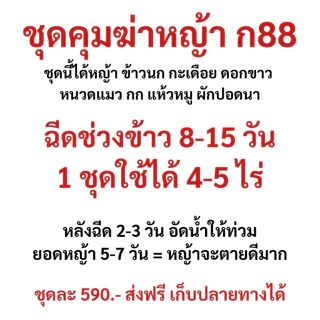 (ก88) ชุดคุมฆ่าหญ้า 1 ชุดใช้ได้ 5 ไร่ แถมยาจับใบอย่างดี