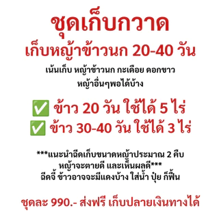 ชุดเก็บกวาด (เก็บหญ้า 20-40 วัน) เน้นเก็บหญ้าข้าวนก หางหมา พุ่มพวง ปล้องหิน สลาง กระดูกไก่ ดอกขาว ผักปอดนา