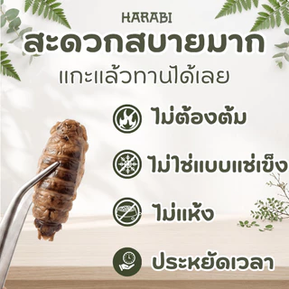 จิ้งโกร่งไข่ HARABI ตัดสวนที่แข็งออกหมดปลอดเชื้อโรคไร้พยาธิ อาหารสำหรับสัตว์เล็ก Exotic pet ขนาด 50 กรัม แมลง จิ้งโกร่ง