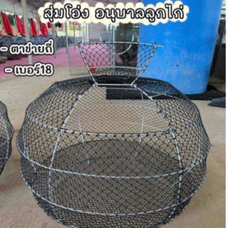 งานสุ่มโอ่ง สุ่มอนุบาลลูกไก่ 1ใบ 350 บาท