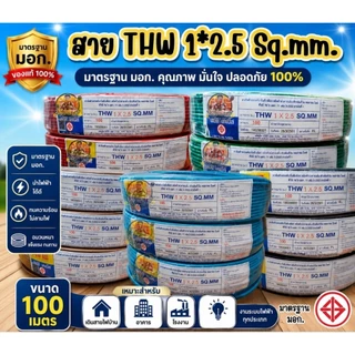 สายไฟ THW 1×2.5 ความยาว 100 เมตร สายเดี่ยวทองแดง (ไม่ระบุยี่ห้อ)