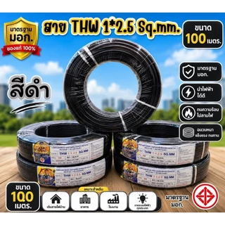 สายไฟ THW 1×2.5 ความยาว 100 เมตร สายเดี่ยวทองแดง (ไม่ระบุยี่ห้อ)
