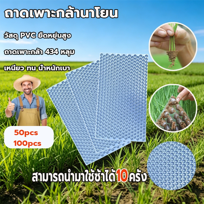 ถาดเพาะกล้านาโยน แบบหนา ถาดเพาะปลูกผัก434 หลุม  50/100 ชิ้น ทนต่อการใช้งาน  ใช้เพาะเมล็ดข้าว