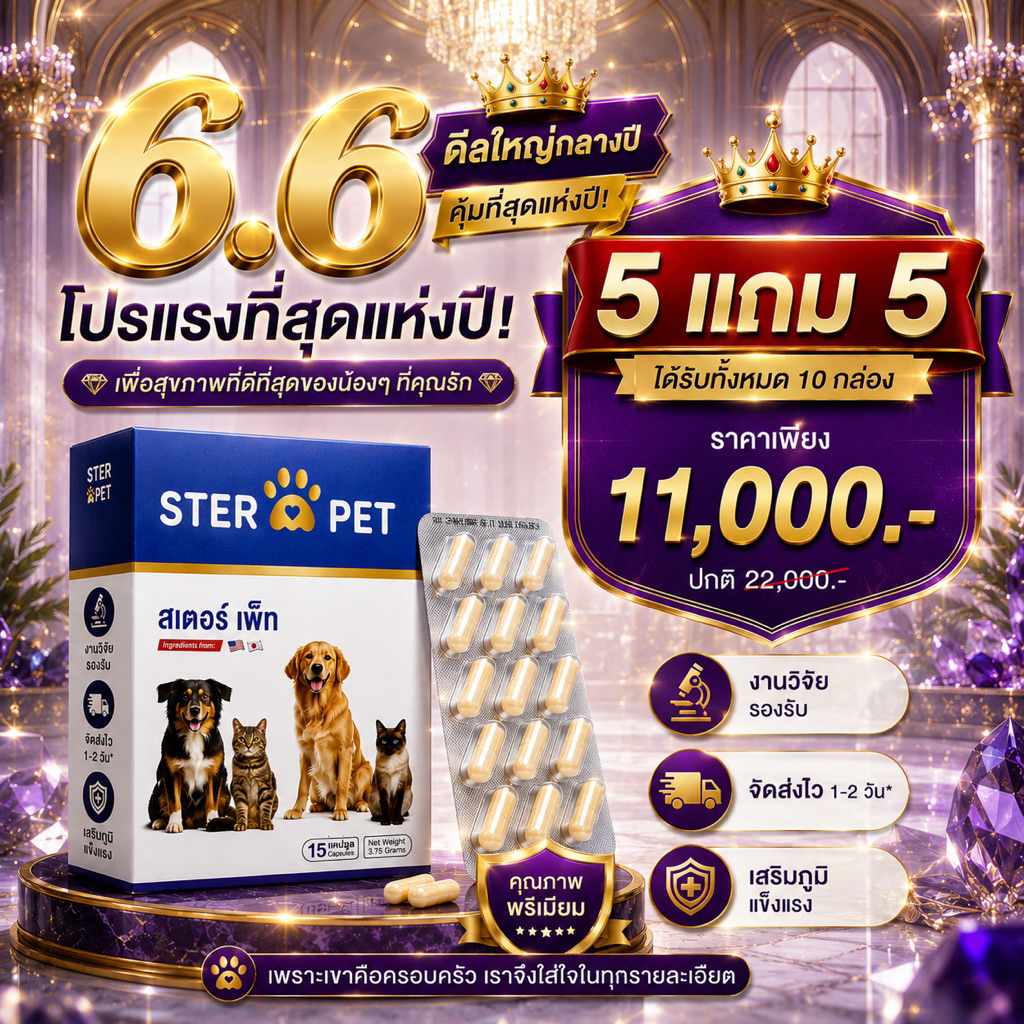 ชุดสุดคุ้ม (Ster Pet 5 แถม 5) ช่วยดูแล ก้อนเนื้องอก มะเร็ง และลูคีเมีย
