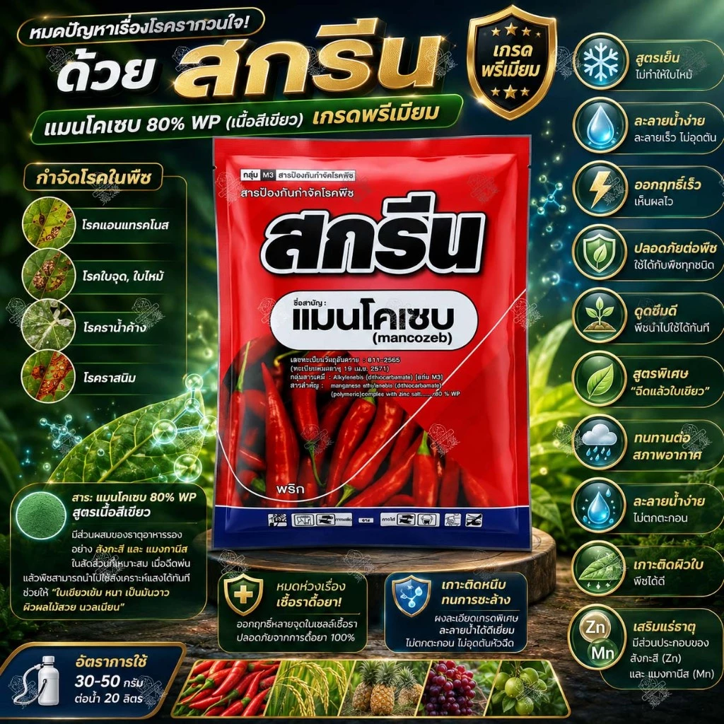 แมนโคเซบ เนื้อสีเขียว 80% WP สกรีน 1 กิโลกรัม กำจัดโรคพืช เชื้อรา ใบจุด ใบไหม้ ราน้ำค้าง แอนแทรคโนส