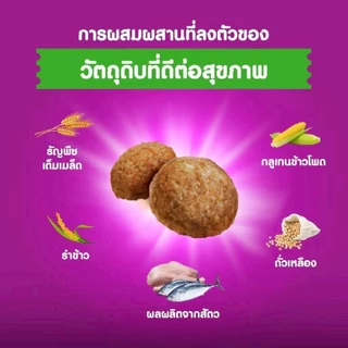 Whiskas Urinary Care 1.1 Kg 1 ลัง บรรจุ 6 ถุง อาหารเม็ดวิสกัสสูตรดูแลทางเดินปัสสาวะ