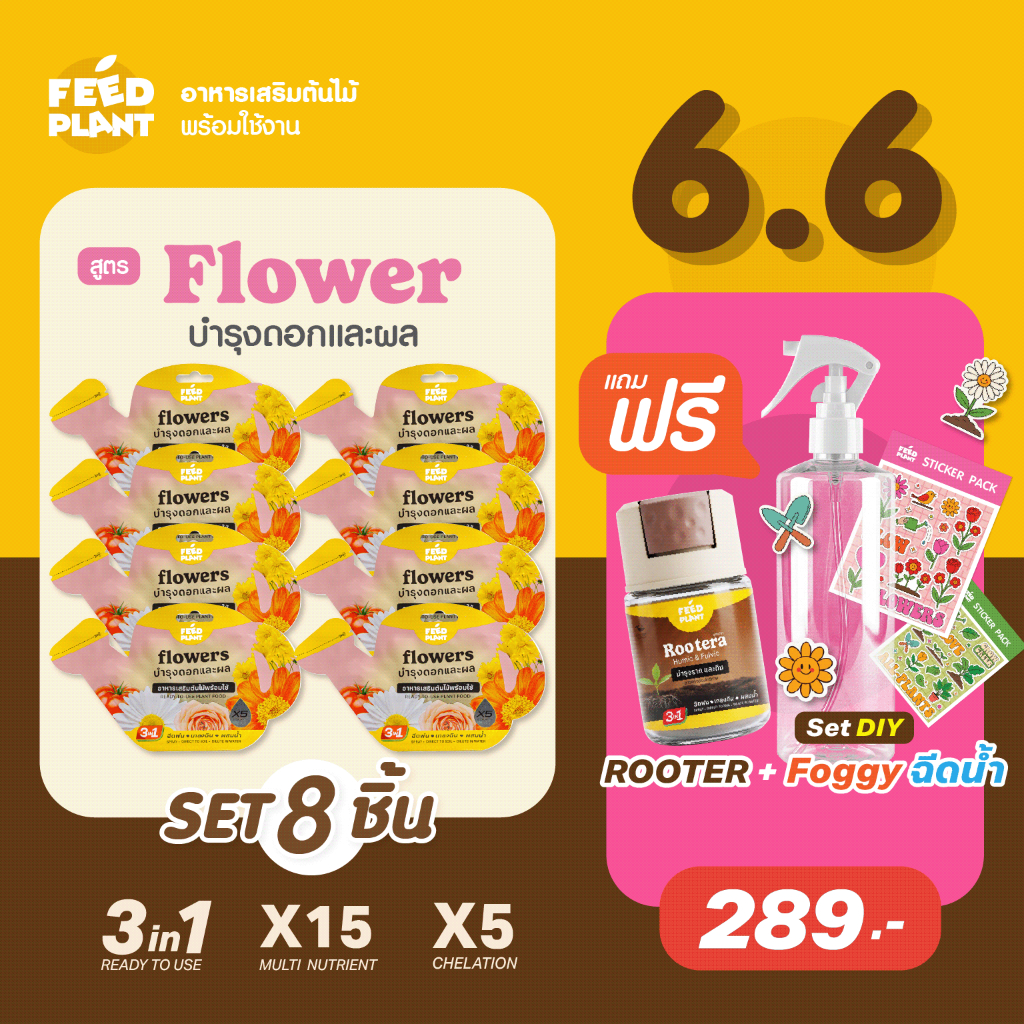 FEED PLANT อาหารเสริมต้นไม้สูตร Flowers บํารุงผล เร่งดอก (เซ็ต 8 ชิ้น)
