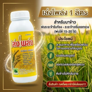 ฮอร์โมนนาข้าวลมเบ่ง เล่งโพล่ง บรรจุ1 ลิตร พ่นข้าวระยะรับท้อง-กลัดหางปลาทู ออกรวงเสมอ ข้าวไม่หักล้มง่าย เมล็ดเต่งเมล็ดใส