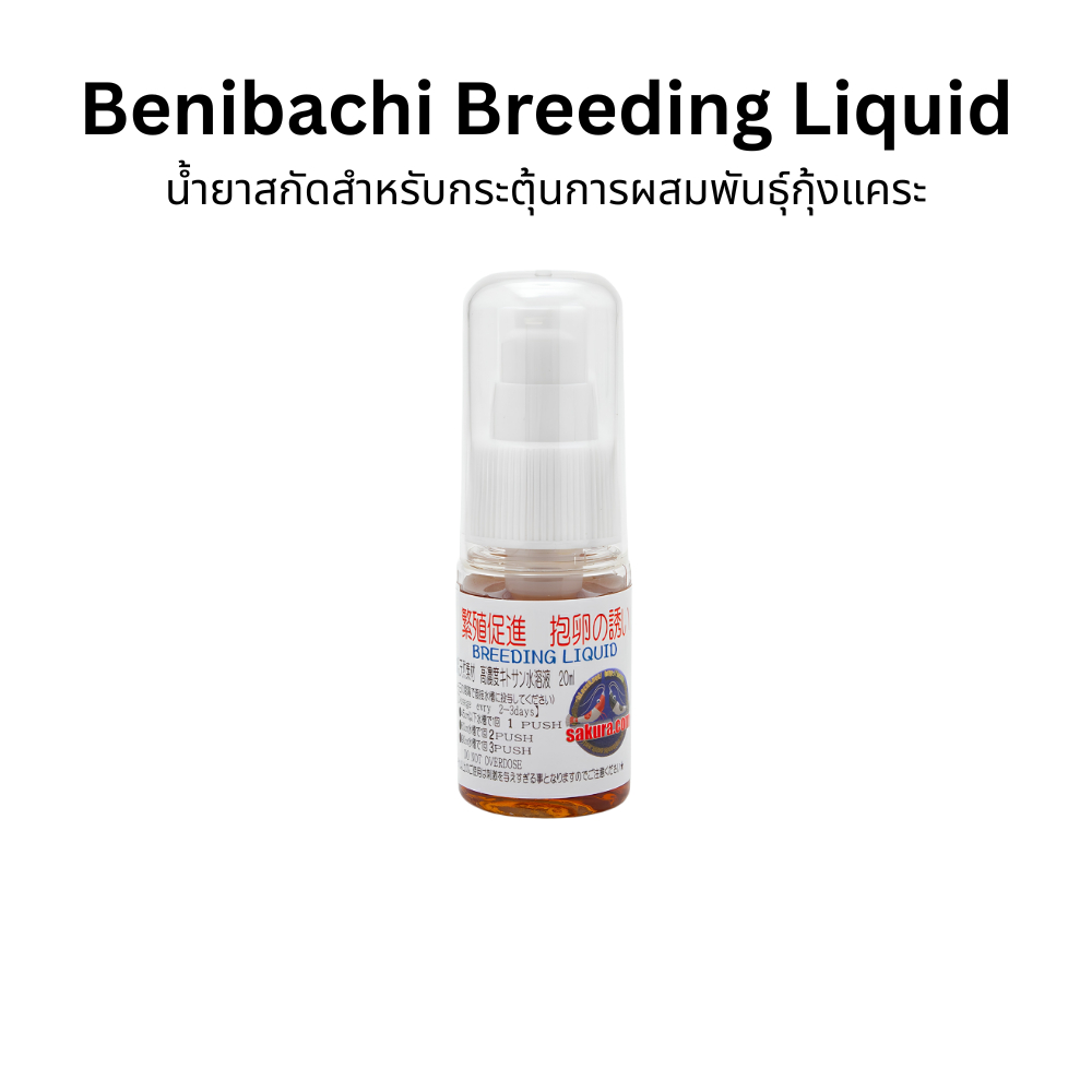 Benibachi Breeding Liquid 20ml อาหารเสริมสำหรับกุ้งแคระ ช่วยกระตุ้นความพร้อมในการผสมพันธุ์และส่งเสริมการอุ้มไข่