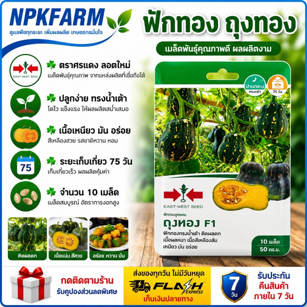 ศรแดง ฟักทอง ถุงทอง บัตเตอร์นัท[ จำนวน 10เมล็ด ] หมดอายุ 01/12/2570 ทรงน้ำเต้า เนื้อสีเหลืองส้ม