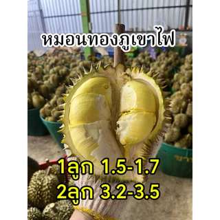 ทุเรียนภูเขาไฟจิ๋ว ขนาดเล็กเน้นเนื้อไม้เน้นทรง 1-3ลูก