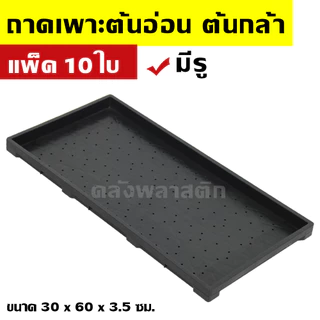 ถาดเพาะกล้า (แพ็ค 5-10ใบ) -มีรู- ใช้เพาะต้นอ่อนทานตะวัน เพาะต้นกล้าผัก เพาะต้นอ่อน - 0TPG