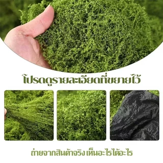 มอสปลอมสีเขียวธรรมชาติ ขนาด 1x1 เมตร ใช้งานง่าย ตัดแต่งได้ตามต้องการ เหมาะกับงาน DIY ถ่ายภาพสินค้า และจัดสวน