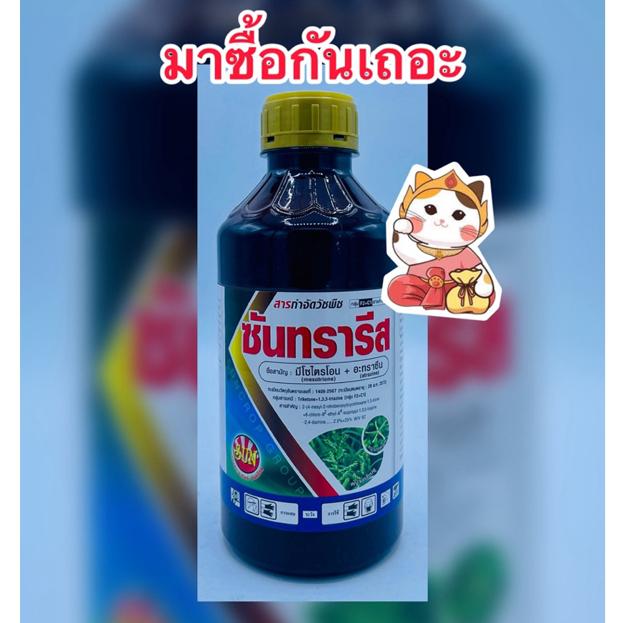 มีโซไตรโอน+อาทราซีน เนื้อครีม (ซันทรารีส) คุมฆ่าหญ้า ในป่าอ้อย ป่าข้าวโพด บรรจุ1ลิตร/ขวด