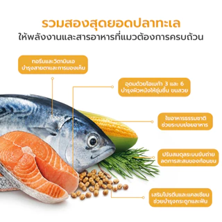 WHISKAS DRY CAT FOOD พ็อกเกต สูตรแมวโต 1.2 kg อาหารแมวชนิดแห้ง แบบเม็ด Petus Kingkaew