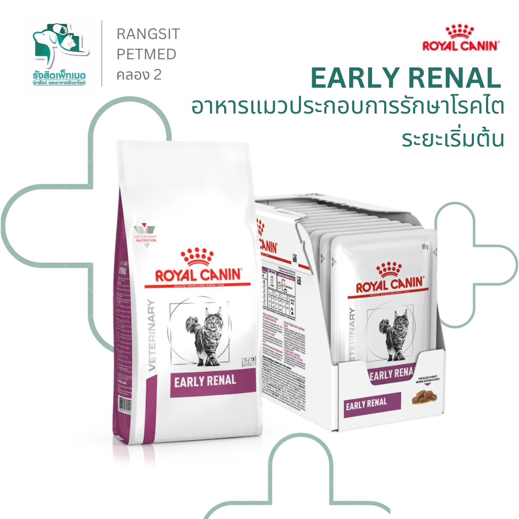Royal Canin Early Renal Cat อาหารแมวประกอบการรักษาโรคไตระยะเริ่มต้น