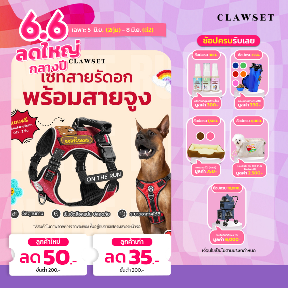 เซ็ทสายรัดอก พร้อมสายจูง On The Run | CLAWSET.BKK