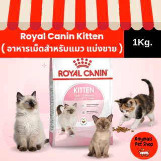( แบ่งขาย 1Kg. ) อาหารเม็ดแมว Royal Canin Kitten