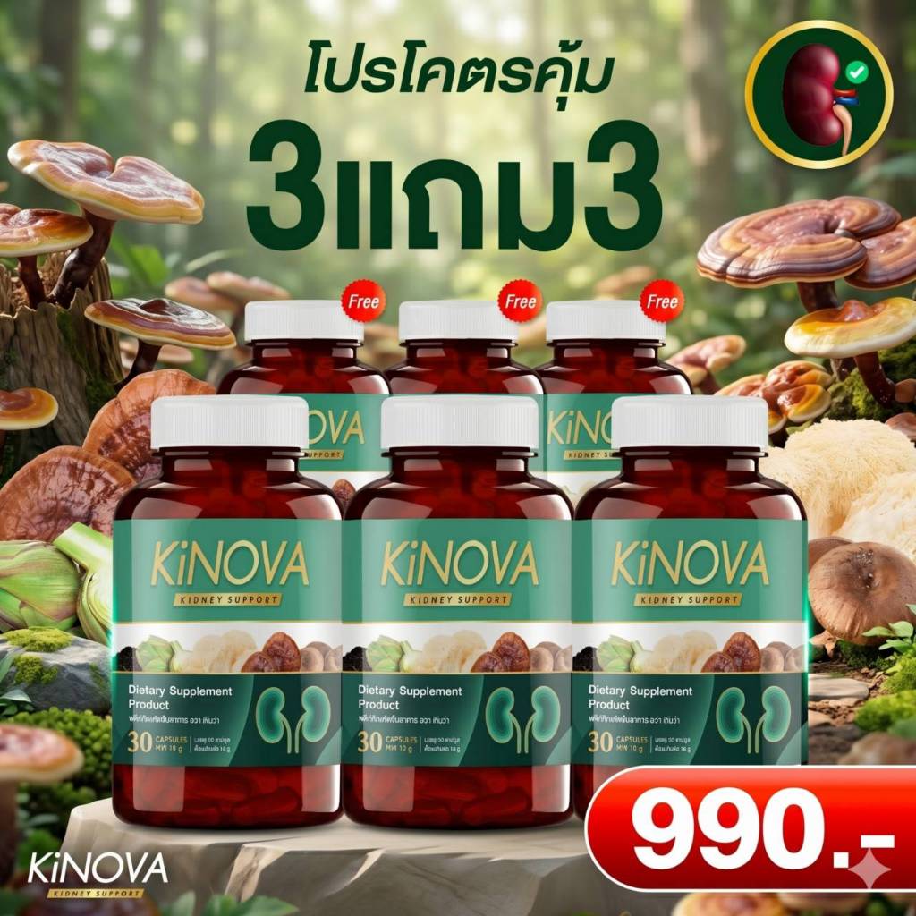 โปร 3แถม3 KiNOVA คิโนว่า วิตามินบำรุงไต ใครสายดื่มสายดริ้ง ทานอาหารรสจัด ต้องมีใว้เลย! (1กระปุก 30 แคปซูล)