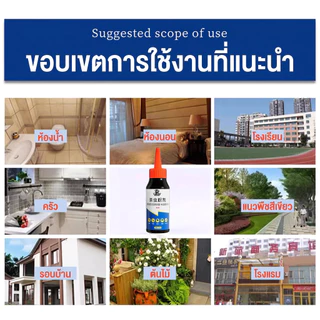 🐜 ผงกำจัดมด 60g ยากำจัดมด เหยื่อมด ผงโรยมด ฆ่ามด กำจัดมดในบ้าน กำจัดมดในครัว โรยง่าย ปลอดภัยต่อคนและสัตว์เลี้ยง