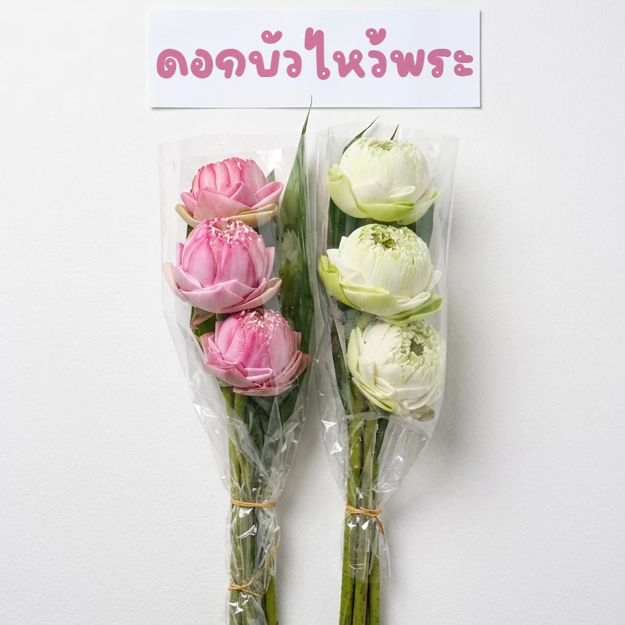 ดอกบัวไหว้พระ 3 ดอก บัวสด 🙏🙏🙏 พับกลีบประณีต สีชมพู-ขาว ส่งด่วน กทม.
