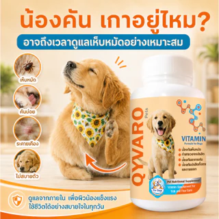 Qyvaro เสริมอาหารสุนัข ป้องกันเห็บหมัด แบบกิน ทำลายวงจรปรสิต ลดคัน ปรสิตภายใน