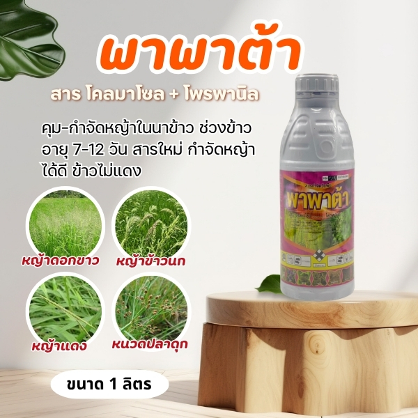 พาพาต้า โคลมาโซน+โพพานิล กำจัดหญ้าในนาข้าว อายุ 7-12 วัน