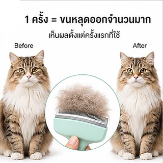 หวีแมวและสุนัข หวีกรูมมิ่งพิเศษสำหรับการหลุดร่วง เหมาะสำหรับผมยาว สากล กำจัดขนลอยน้ำ หวีเปิดปมใหญ่ ทํา ความ สะอาด