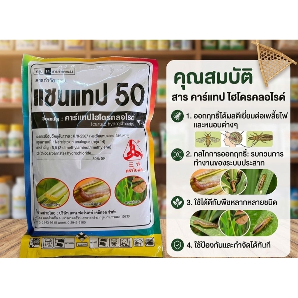 แซนแทป50สารคาร์แทปไฮโดรคลอไรด์50%SPเป็นสารกำจัดแมลงศัตรูพืช ออกฤทธิ์แบบสัมผัสและดูดซึม สามารถควบคุมแมลงได้หลากหลายชนิด