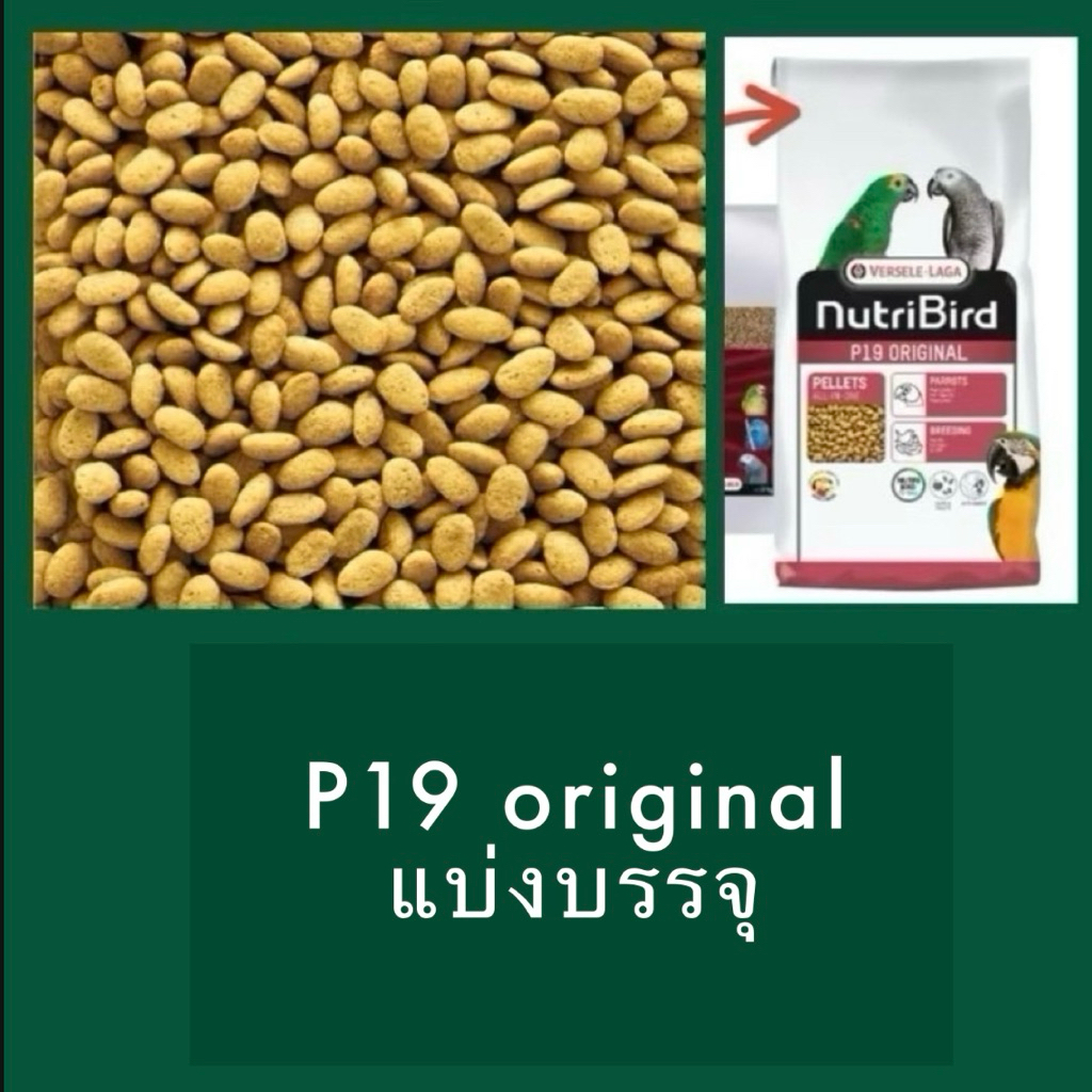 ⓅⓀⒻ [แบ่งบรรจุ] NutriBird P19 Original อาหารนก นูทรีเบิร์ดพี19