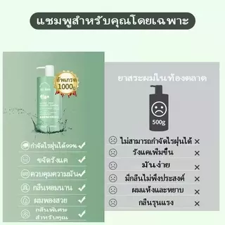 🔥 Free Shipping Amino Acid Shampoo Mixed With Sea Salt 500ml | Eliminate Dandruff, Control Oiliness Deep Cleaning Soft,