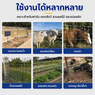 Homenta รั้วถักปม รั้วตาข่ายถักปม ตาข่ายแรงดึง ช่องตา10x10ซม ยาว30/50m ลวดเหล็กแรงดึง แข็งแรง ลวดล้อมคอกวัว ชุบสังกะสี