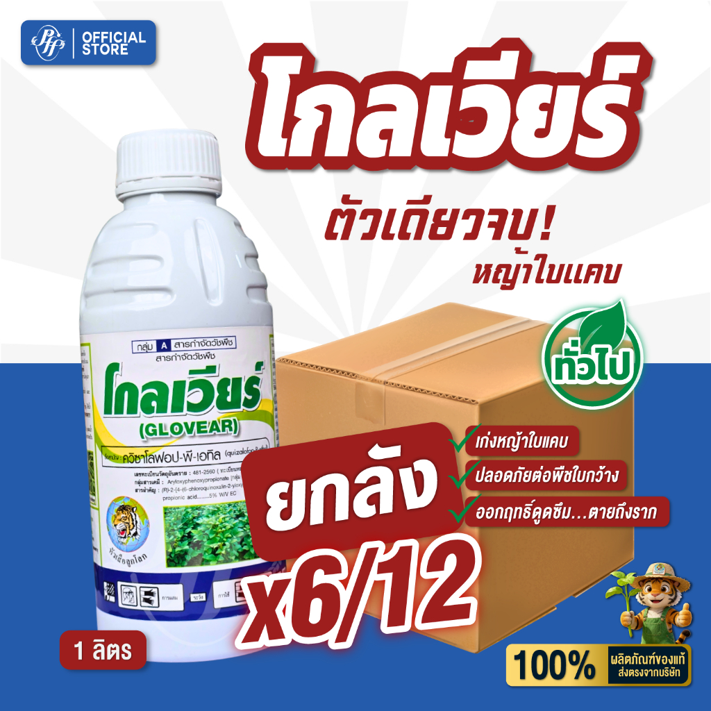 โกลเวียร์ [ยกลัง 6/12 X 1 ลิตร] ควิซาโลฟอป-พี-เอทิล ยาลุยไร่มัน เก่งหญ้าใบแคบ