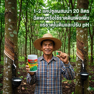 นาโนโปรพลัส นาโนพืช แร่ธาตุ อาหารหลักพืช 1 ขวด 100 เม็เ
