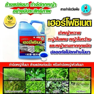 เฮอร์โฟซิเนต ขนาด 4 ลิตร (น้ำฟ้า) กลูโฟซิเนตเผาไหม้กึ่งดูดซึม