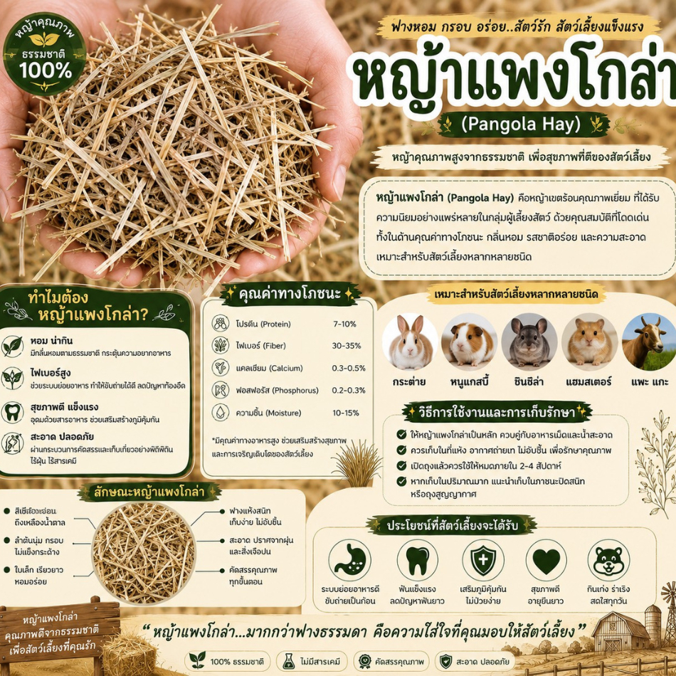 หญ้าอัลฟาฟ่า อัลฟัลฟ่าสับ หญ้าทิโมธี ทิโมธีสับ รูปที่ 4