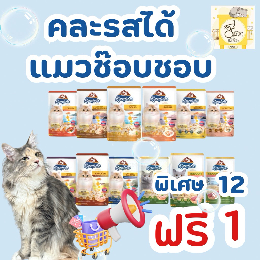 คานิว่าอาหารเปียก12ซองคละรสได้(คละรส12ฟรี1)