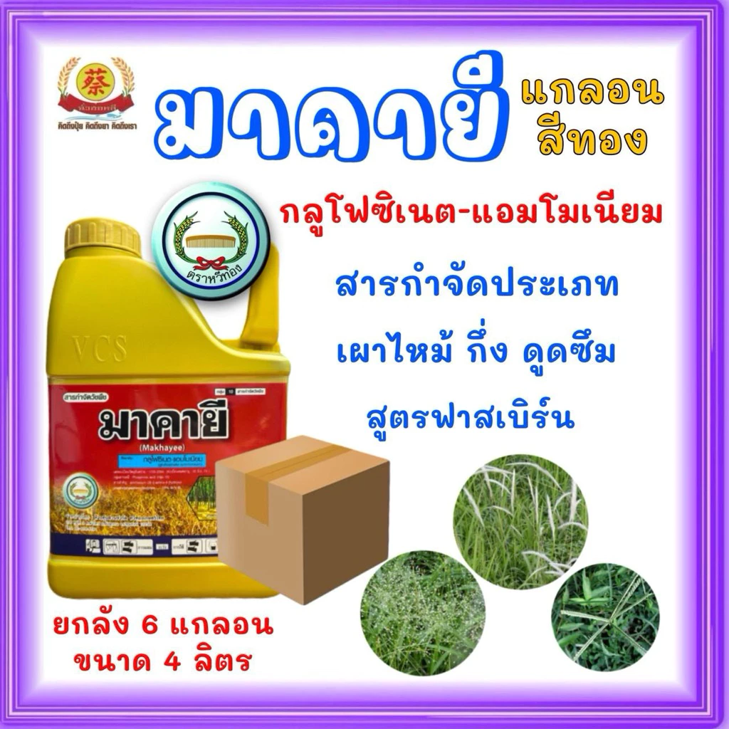 มาคายี สูตรฟาสเบริน์แกลอนสีทอง (ยกลัง*6แกลอน)