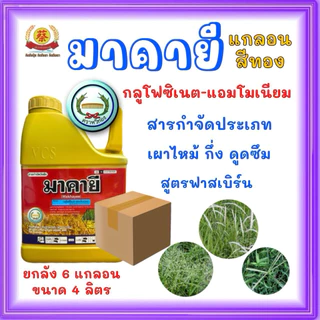 มาคายี สูตรฟาสเบริน์แกลอนสีทอง (ยกลัง*6แกลอน)