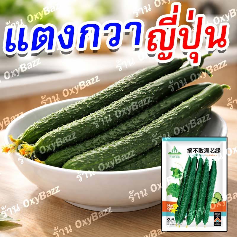 เมล็ดแตงกวาญี่ปุ่น 50 เมล็ด แตงกวายาว กรอบหวาน ลูกดก ปลูกง่าย โตไว