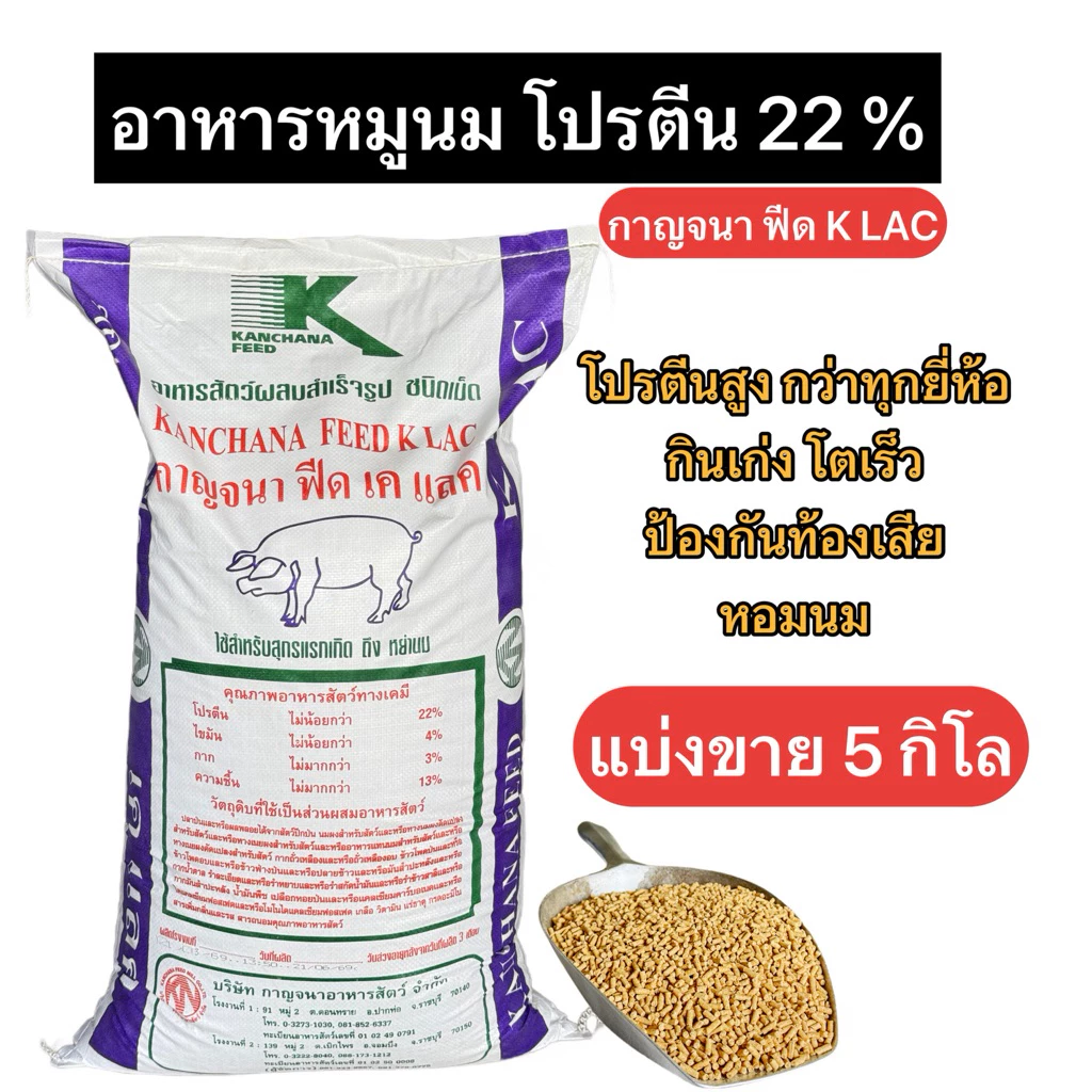 อาหารหมูนม K LAC โปรตีน 22% แบ่งขาย 5 กิโล